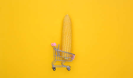 Supermarket trolley with swing of corn on yellow background. Minimalist food flat lay. top viewの写真素材