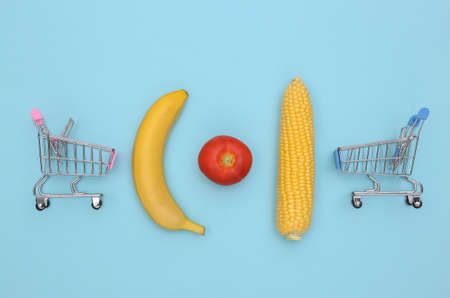 Mini supermarket trolleys, vegetables and fruits on blue background. top view. flat layの写真素材