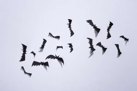 Flying paper cut bats on white background. Halloween background. top view. flat layの写真素材