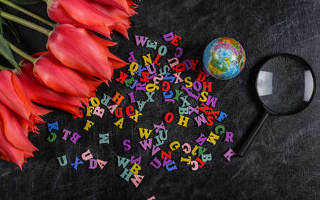 Bouquet of tulips and school supplies, letters on chalk board. Knowledge Day, back to school. top viewの写真素材