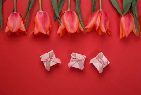 Red tulips and gift boxes on red background. Holiday Mother's Day or March 8th, birthday. top viewの写真素材