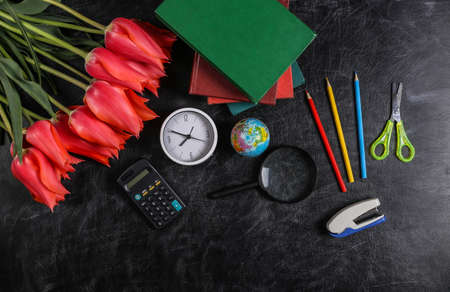 Bouquet of tulips and school supplies on chalk board. Knowledge, Teacher's Day, back to schoolの写真素材