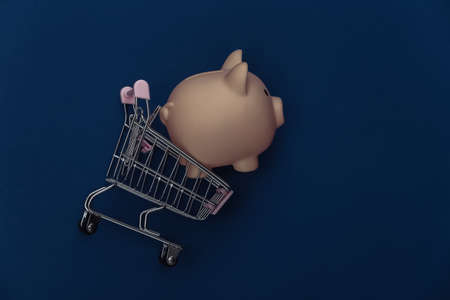 Shopping trolley and piggy bank on classic blue background. Super market costs. Color 2020. Top view.の写真素材