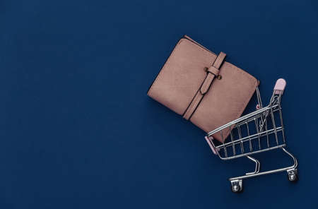 Shopping trolley with wallet on a classic blue background. Color 2020. Top view.の写真素材