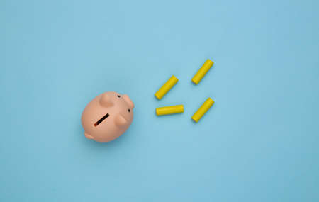 Piggy bank and four batteries on a blue pastel background. top viewの写真素材