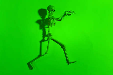 Scary skeleton in green neon lightの写真素材