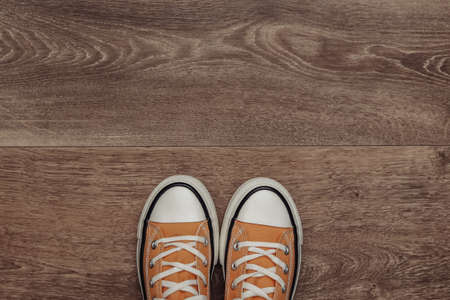 Retro sneakers (gumshoes) on wooden floor. top view.