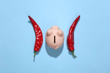 Hot red chili peppers with piggy bank on blue backgroundの写真素材