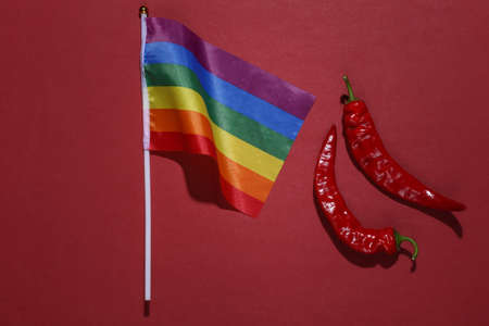LGBT rainbow flag and two red chili peppers on red background. The metaphor of gay love...