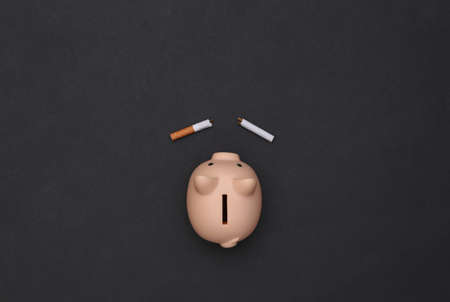 Broken cigarette and piggy bank on a black background. Quitting smoking, saving moneyの写真素材