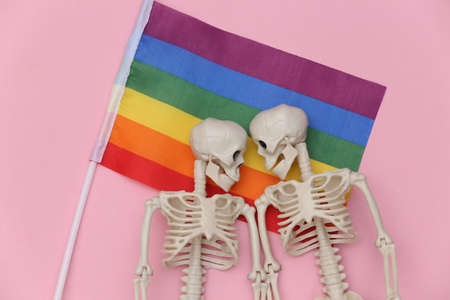 LGBT rainbow flag and two skeletons on pink background. same sex relationshipsの写真素材