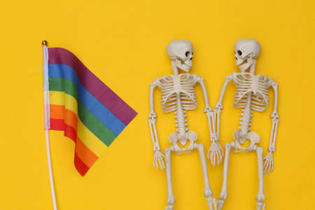 LGBT rainbow flag and two skeletons on a yellow background. same sex relationshipsの写真素材