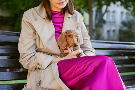 Cute dachshund puppy sitting in the arms of the hostess outdoorsの写真素材