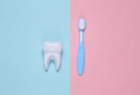 Fake tooth and toothbrush on pink blue background. top viewの写真素材