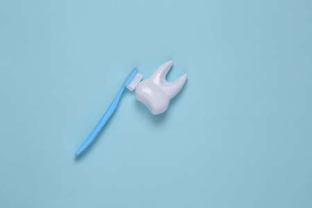 Toothbrush cleans toy plastic tooth on blue background. Dental care conceptの写真素材