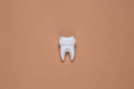 Fake tooth and white hand on brown background. top viewの写真素材