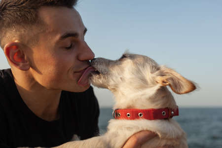 Cute dog with owner man spend time together on the coastの写真素材