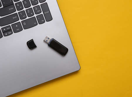USB flash drive stick on laptopの写真素材
