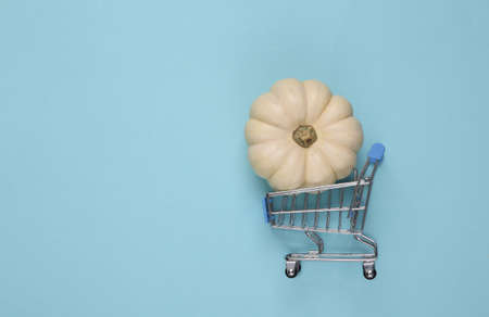 Shopping cart with mini white pumpkin on a blue background