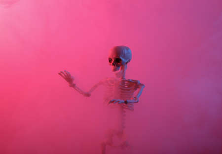 Skeleton in dense smoke with pink blue neon light. Scary Halloween themeの写真素材