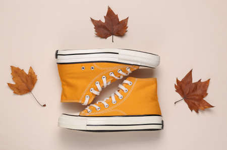 Retro sneakers and dry fallen leaves on a beige background. top view
