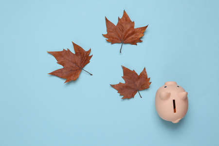 Piggy bank and dry fallen leaves on blue background.の写真素材