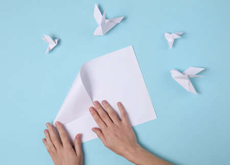 Female hands fold origami doves on a blue background. top viewの写真素材