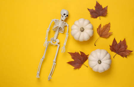 Halloween theme. Skeleton with pumpkins, leaves on yellow background. top viewの写真素材