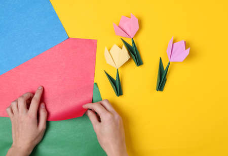 Handmade origami from colored paper. Woman making origami tulips on a colored backgroundの写真素材