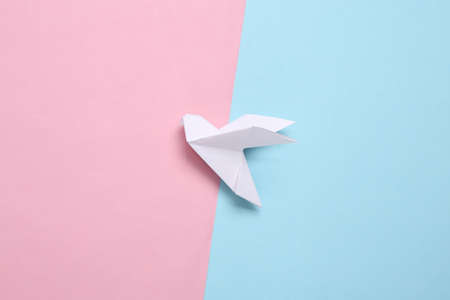 Origami dove on a blue-pink pastel background. top viewの写真素材
