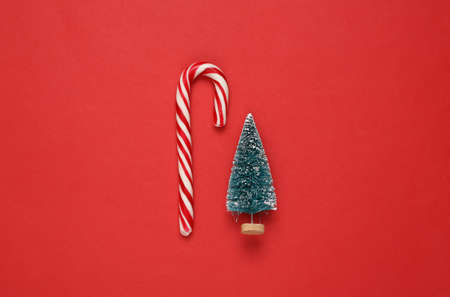 Christmas striped candy cane and mini Christmas tree on red background. New year, xmas background.