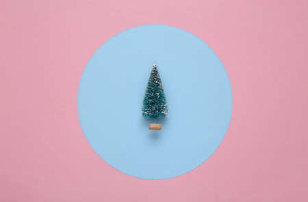 Mini Christmas tree on a blue-pink round background. minimalismの写真素材