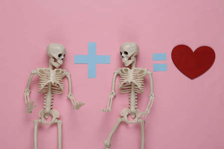 Equation with two skeletons and a heart on a pink background