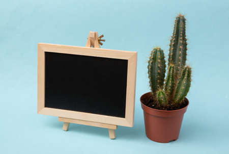 Empty mini chalk board with cactus pot on blue backgroundの写真素材