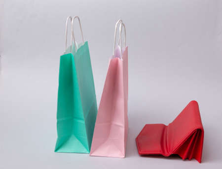 Paper shopping bags and purse on white background. shopping concept