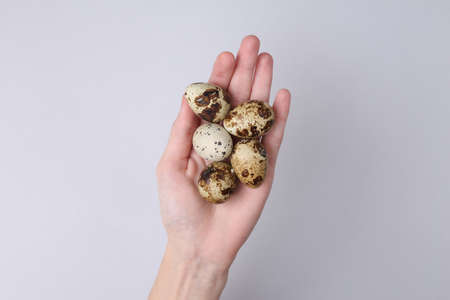 Hand holding Quail eggs on gray background. Care, Easter concept. top viewの写真素材