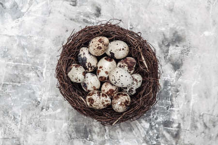 Quail eggs in a nest on concrete background. easter concept