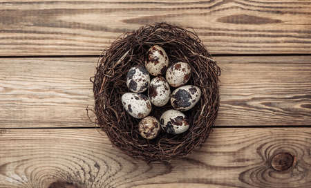 Quail eggs in a nest on wooden table. easter conceptの写真素材