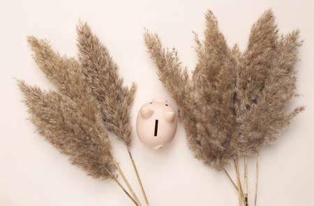 autumn creative composition. Beige reeds branches and piggy bank on pastel beige background. flat layの写真素材
