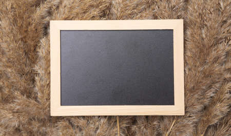 empty chalk board on background of reed branches. copy space
