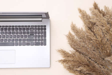 autumn creative composition. Beige reeds branches and laptop on beige background. flat layの写真素材