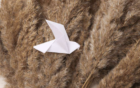 autumn flora composition. Origami bird on branches of reedsの写真素材