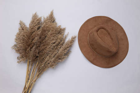 Autumn fashion composition of hat and reeds foliage branches bouquet on white background. top view. Natural flora Flat layの写真素材