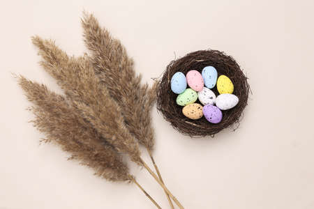 Easter composition from a nest with colored quail eggs, reed branches on a pastel beige background....