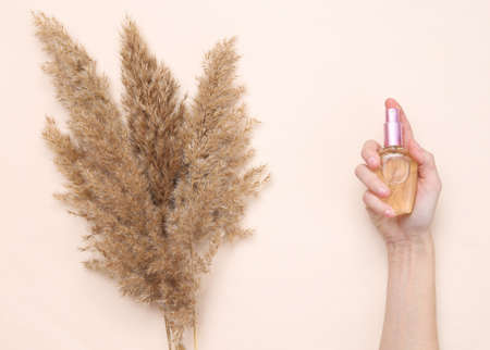 floral design. Hand holding perfume bottle and Reeds foliage branches bouquet on beige pastel background. Flat lay, top viewの写真素材