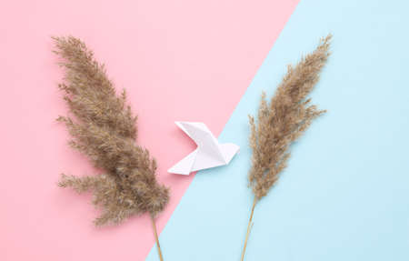 autumn creative composition. Beige reeds branches and origami bird on pink blue background. flat layの写真素材