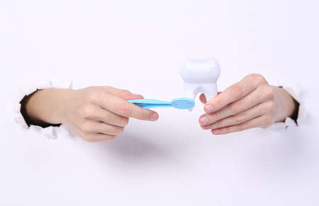 Female hands holding tooth model and toothbrsh through torn hole white paper. Oral cavity care....