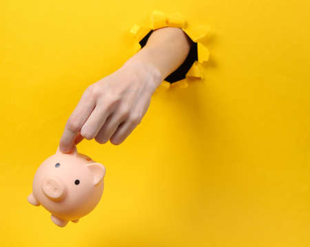 Female hand holds piggy bank through torn hole yellow paper. concept art. minimalismの写真素材