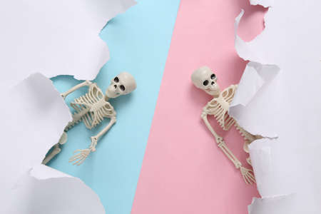 Skeletons and white torn paper sheet on pink blue background. helloween background. minimalism. copyspace. top viewの写真素材