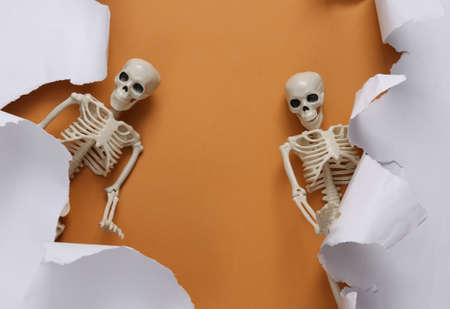 Skeletons and white torn paper sheet on beige background. helloween background. minimalism. copyspace. top viewの写真素材